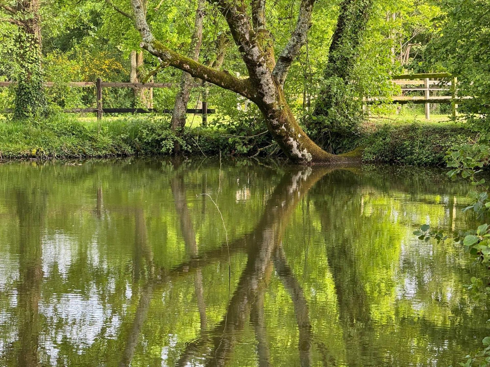 La Maison De L'Etang Manerbe Esterno foto